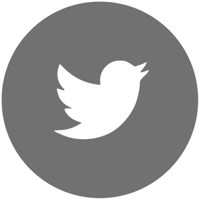 this is the twitter icon